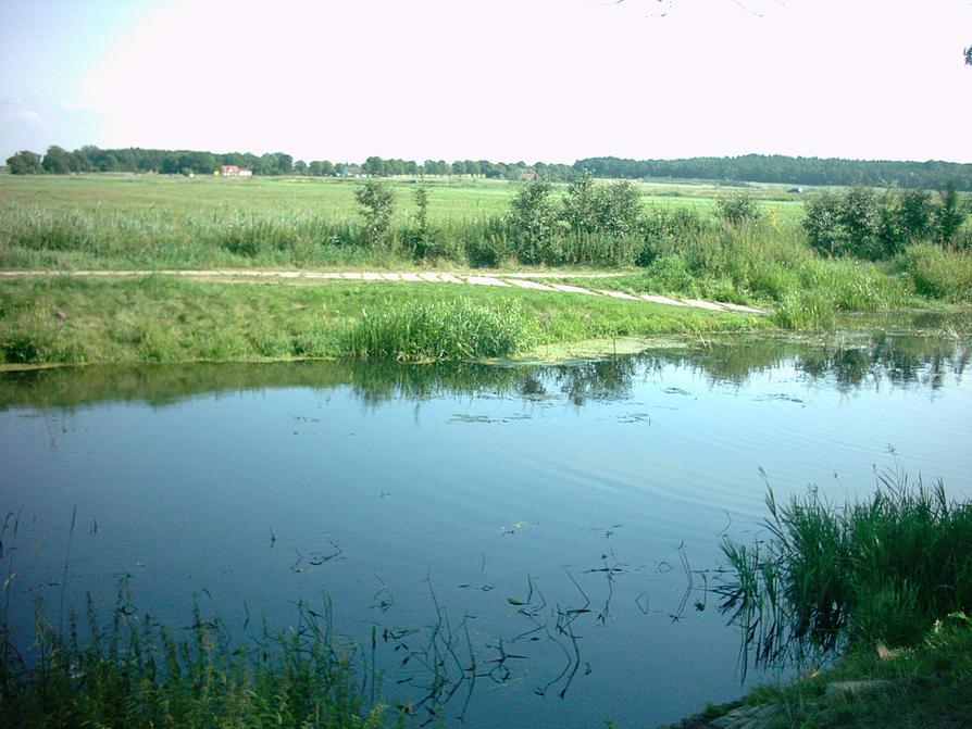 hier aussetzen vor dem Wehr in Bad Sülze