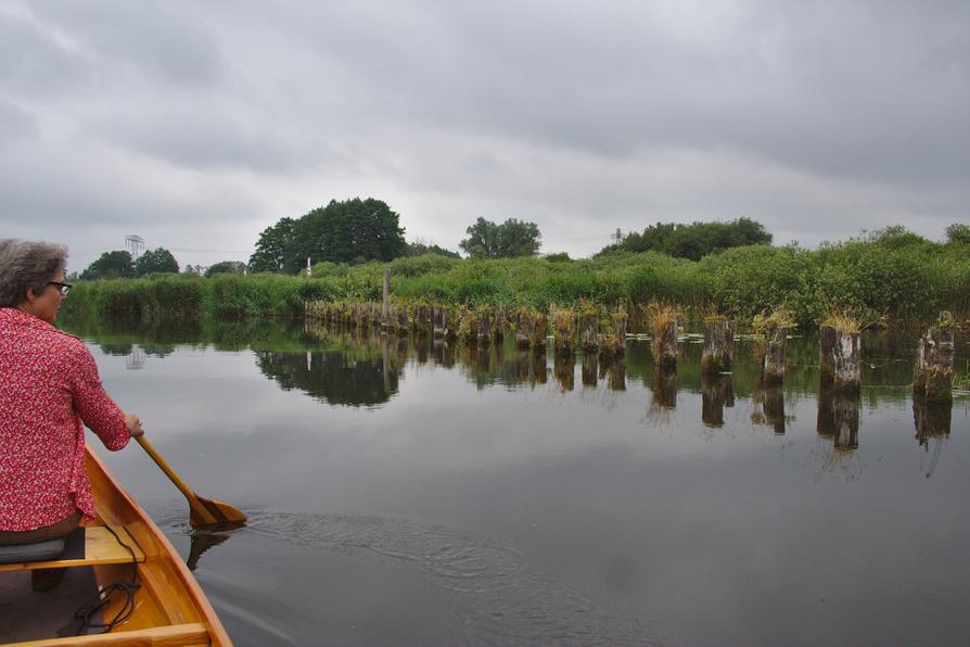 Auf der Peene nahe Aalbude