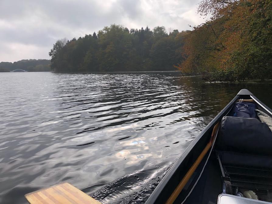 Auf dem südlichen Teil des Rosensees