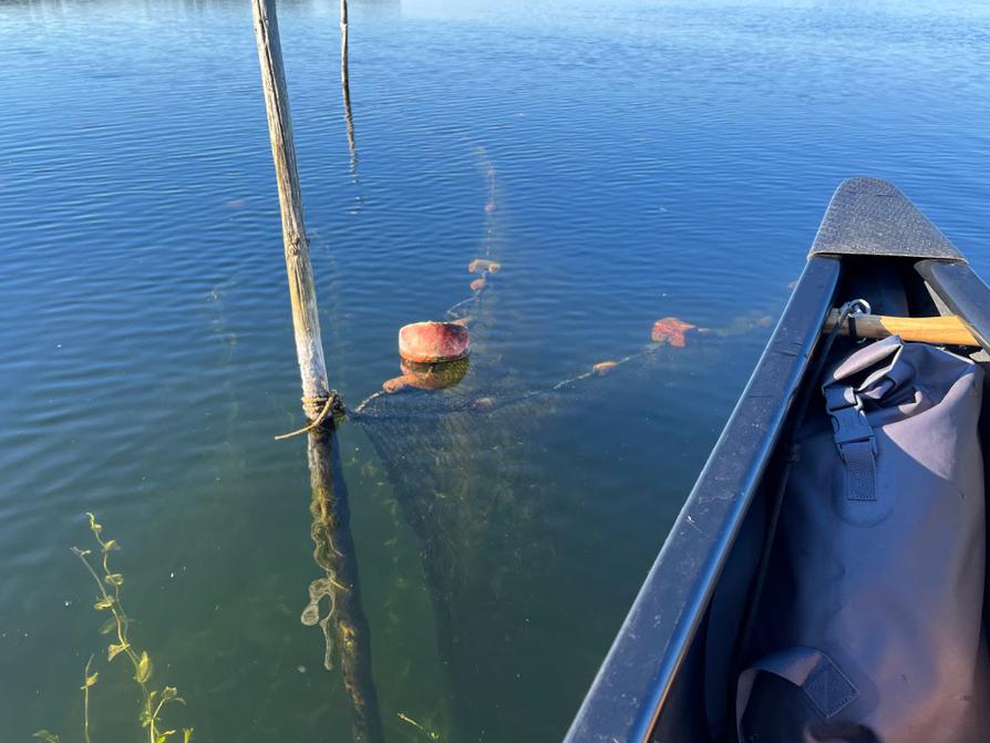 Fischernetze in Plön-Spitzenort