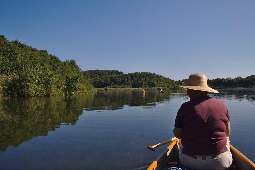 in der Rohrdommelbucht in der Rohrdommelbucht