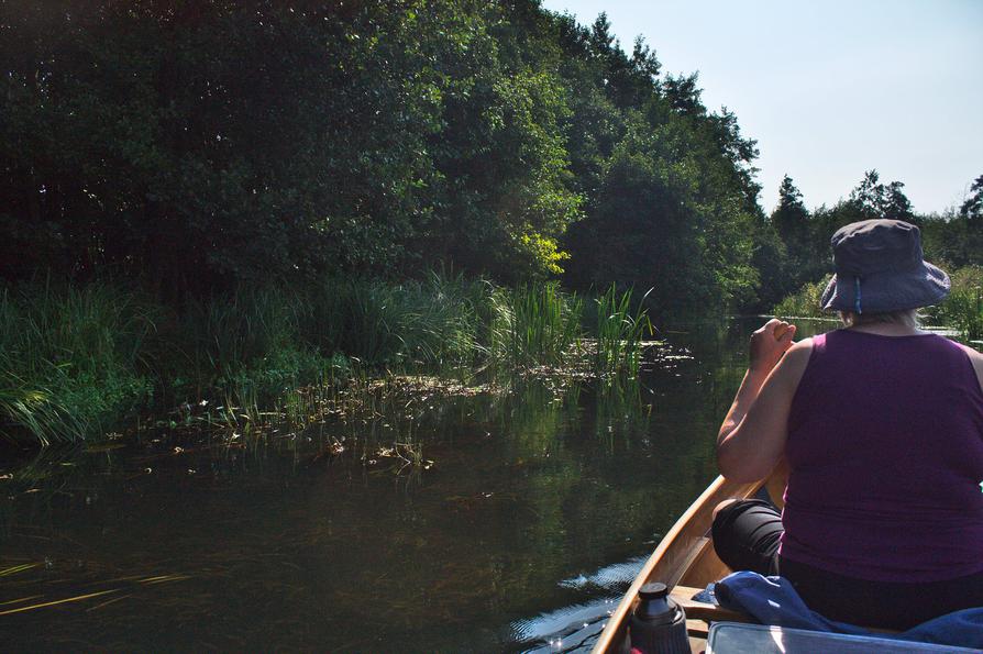 die Recknitz mit klarem Wasser