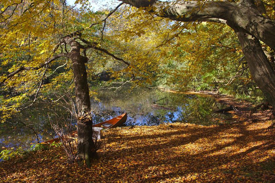 goldenes Laub an der SChwentine