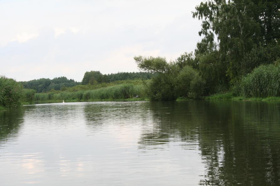 Wriezener Alte Oder bei Schiffmühle