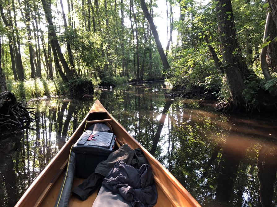 in der Bäk bei Carvitz