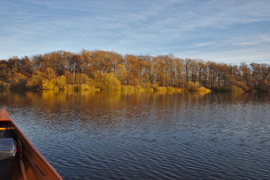 die Rohrdommelbucht in Plön