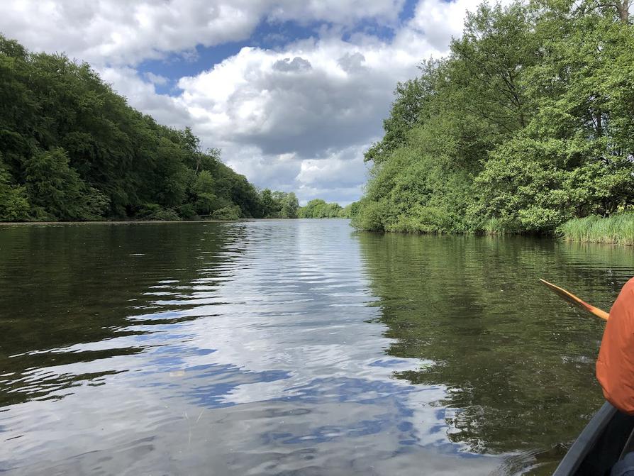 zurück auf dem Rosensee