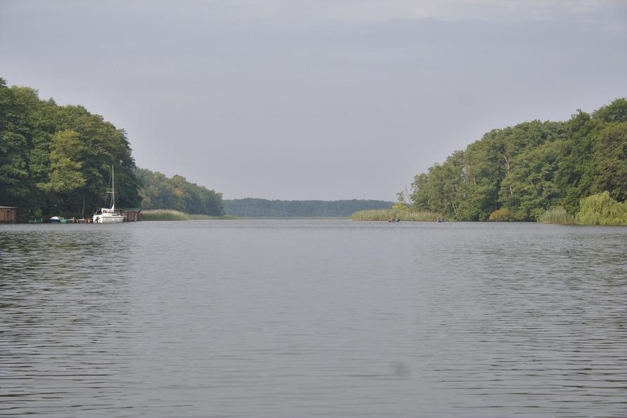 bei Seewalde am Gobenowsee