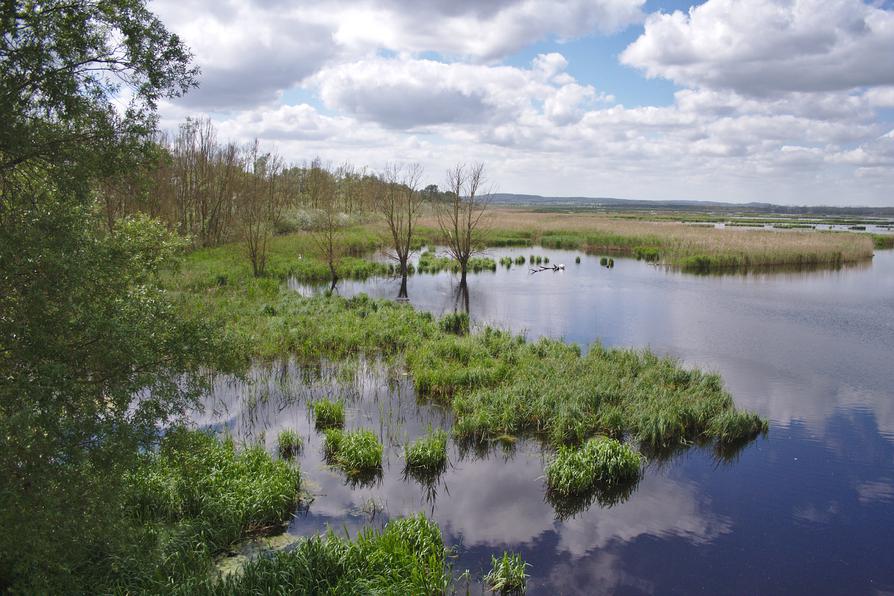 Naturschutzgebiet Große Rosin