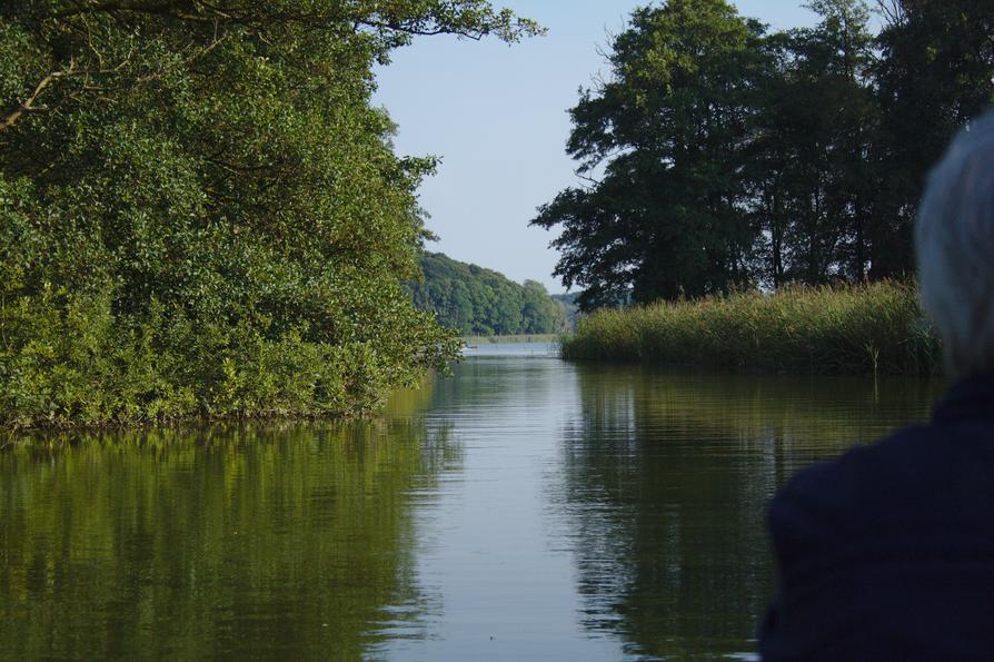 Durchblick zum Westensee