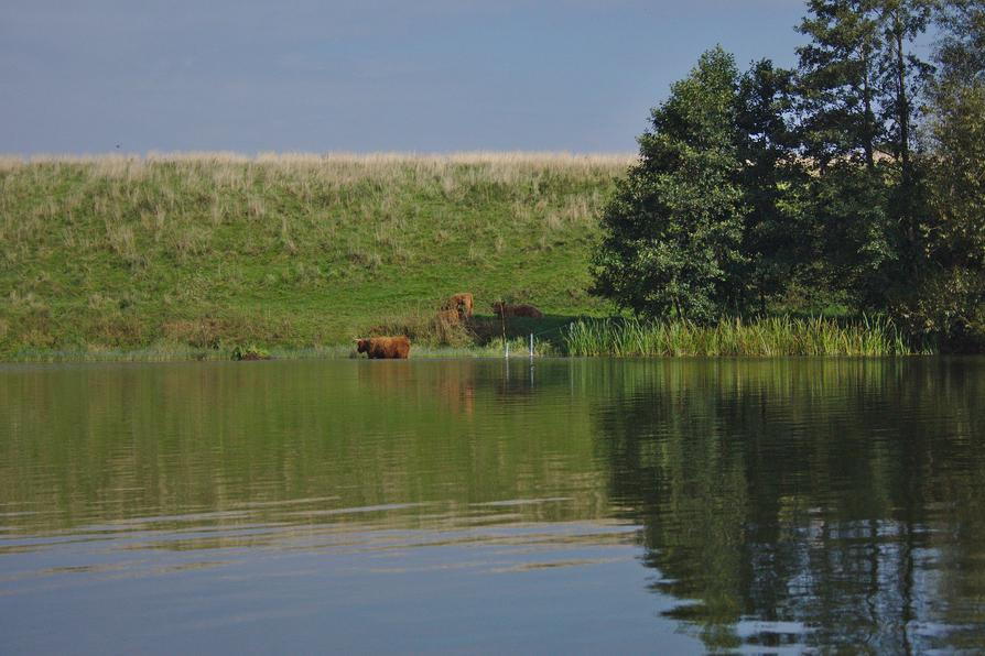 Robustrinder für die Landschaftspflege