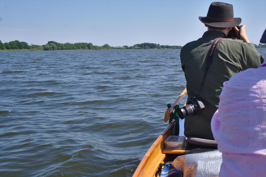 freie Fahrt auf der Schlei