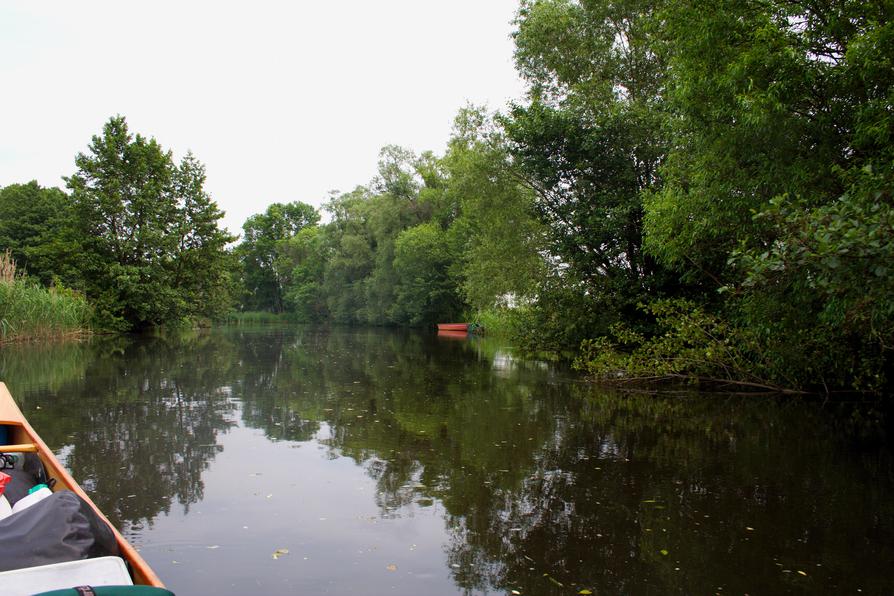 Spree unterhalb Leibsch