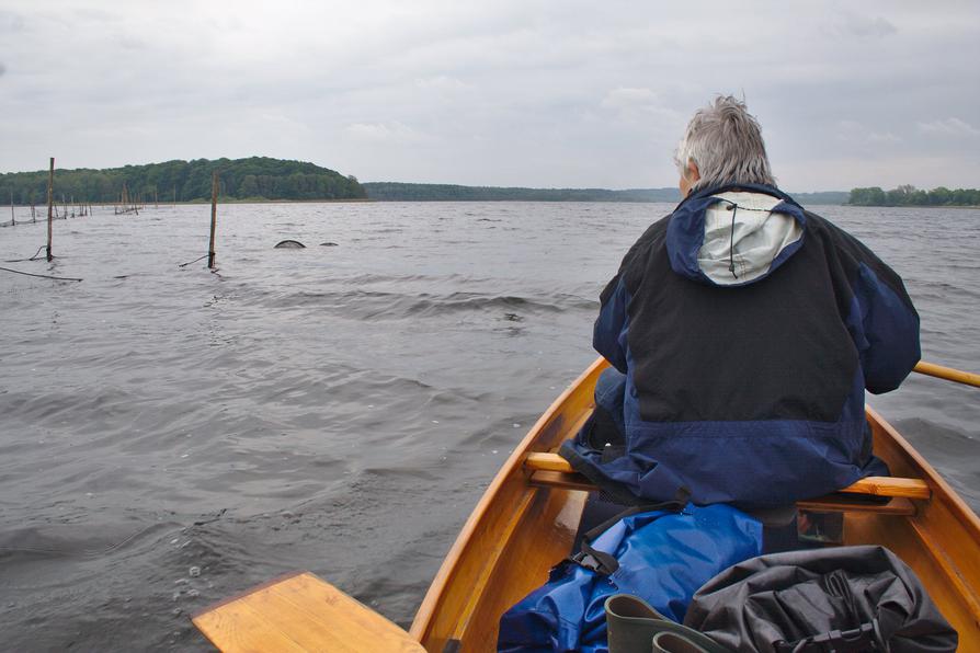 Auf dem Westensee bei starkem Wind