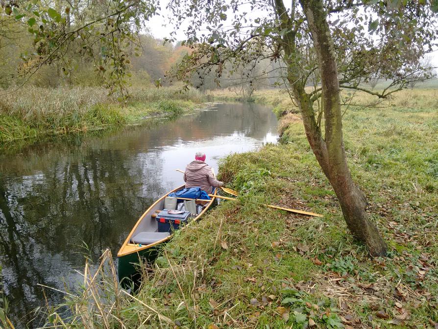 kleine Pause an der Wiese