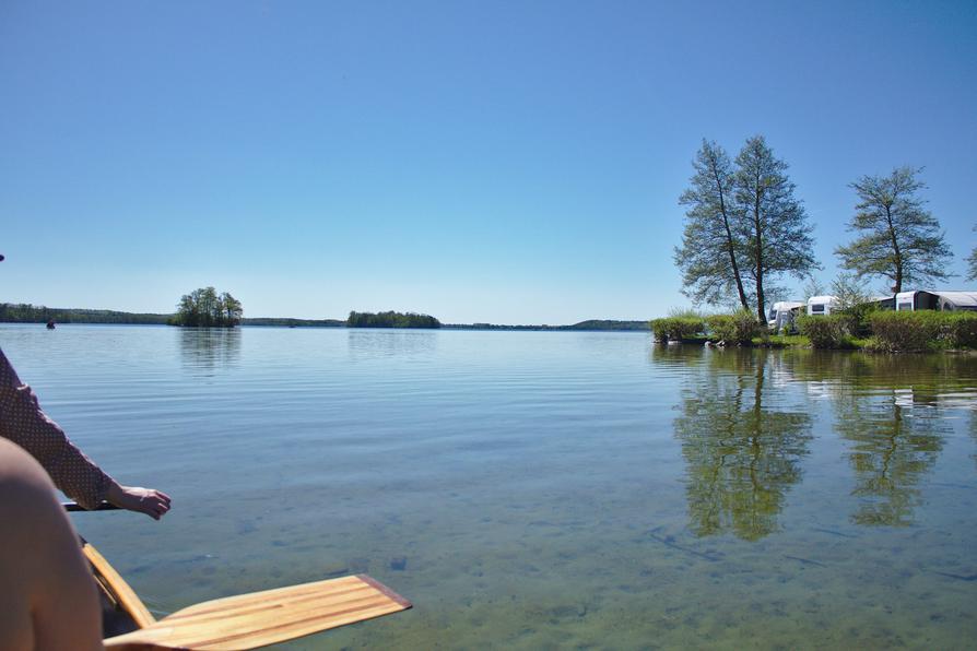 in der Ascheberger Bucht auf dem Großen Plöner See in der Ascheberger Bucht auf dem Großen Plöner See