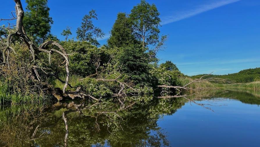 Warnow oberhalb des Mickowsee