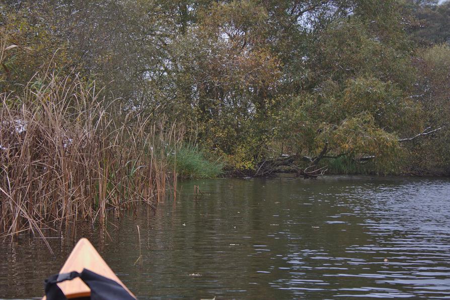 der Lanker See bei Wahlstorf der Lanker See bei Wahlstorf