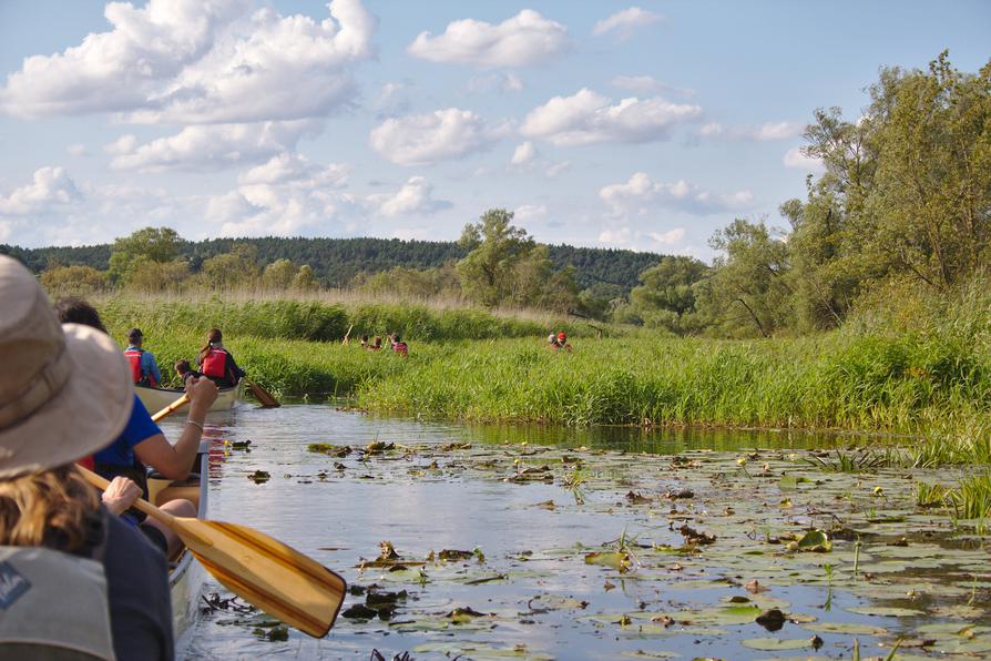 Kanal Szeroki