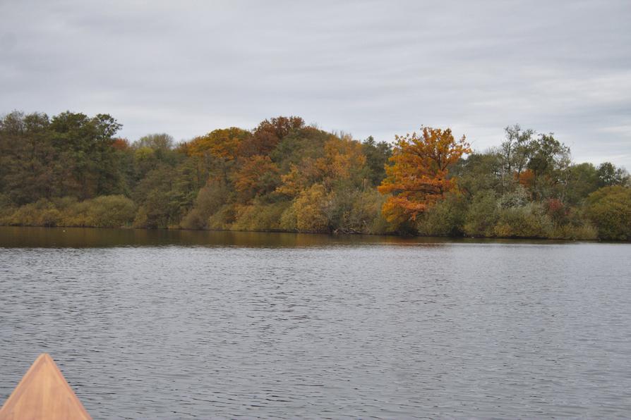 Herbstlaub bei Gut Wittmoldt