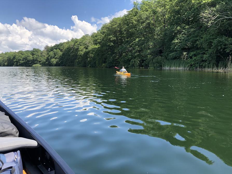 Behler See am östlichen Ufer