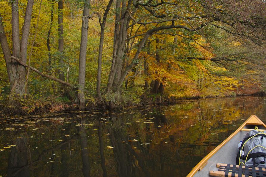 Schwentine im Herbst