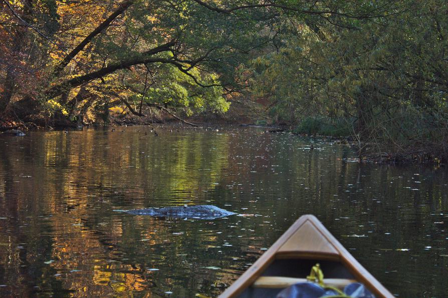 großer Findling im Wasser