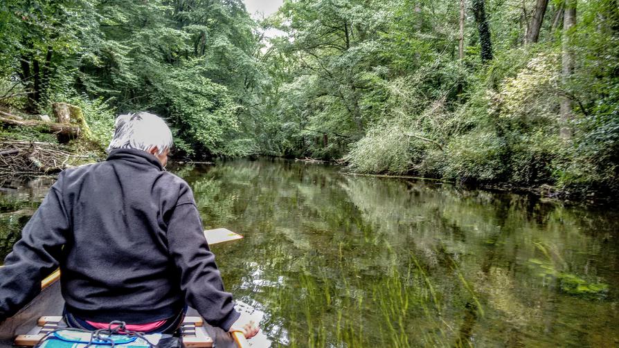 klares Wasser mit Muschelgrund