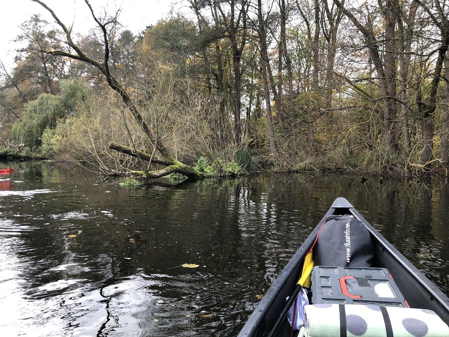 Wildnis an der Schwentine bei Klausdorf