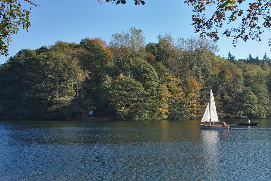 Segelboot und Ruderboot auf dem Höftsee