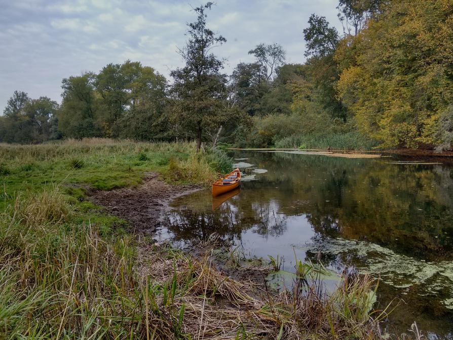 Pause an der Rinder-Badestelle