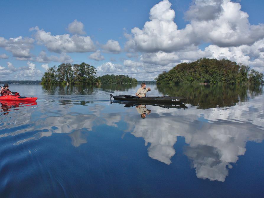 Inselwelt im Großen Plöner See