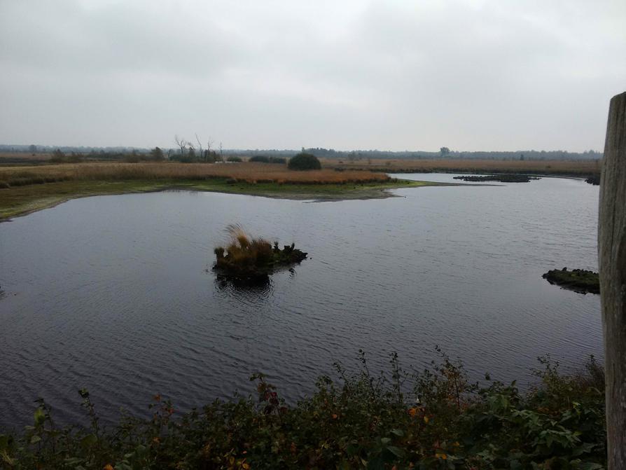Wildes Moor Osterrönfeld Wildes Moor Osterrönfeld