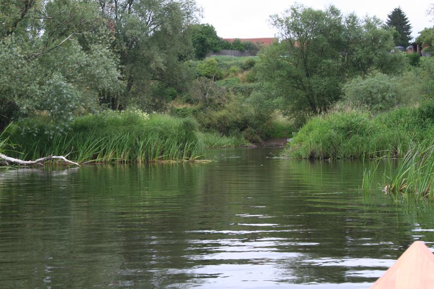 Havel-Nebengewässer bei Nitzow