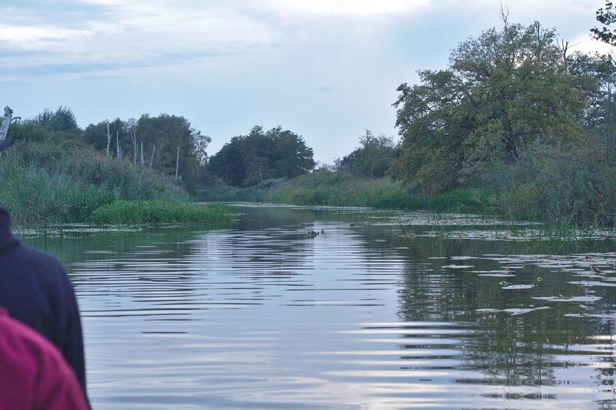 auf dem Dahmer Kanal