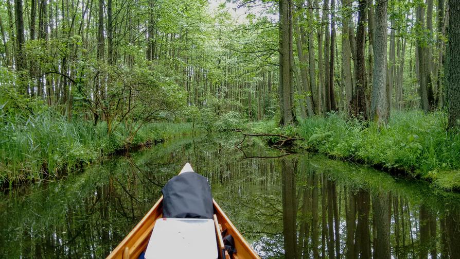 meine Rücktour durch die Schwaanhavel