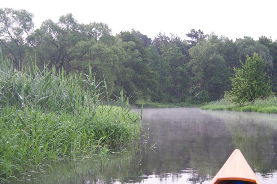 Müggelspree bei Spreeau