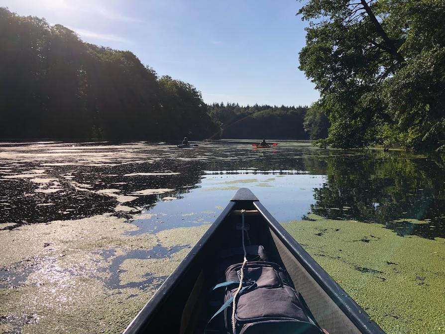 Auf dem Rosensee bei Raisdorf