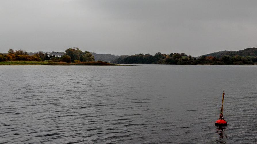 Vogel-Inseln im Lanker See