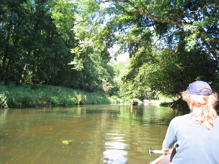 klares Wasser in der Warnow