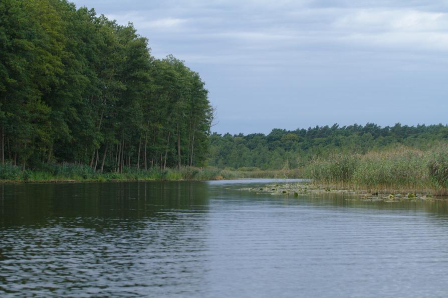 die Havel vor Tornow