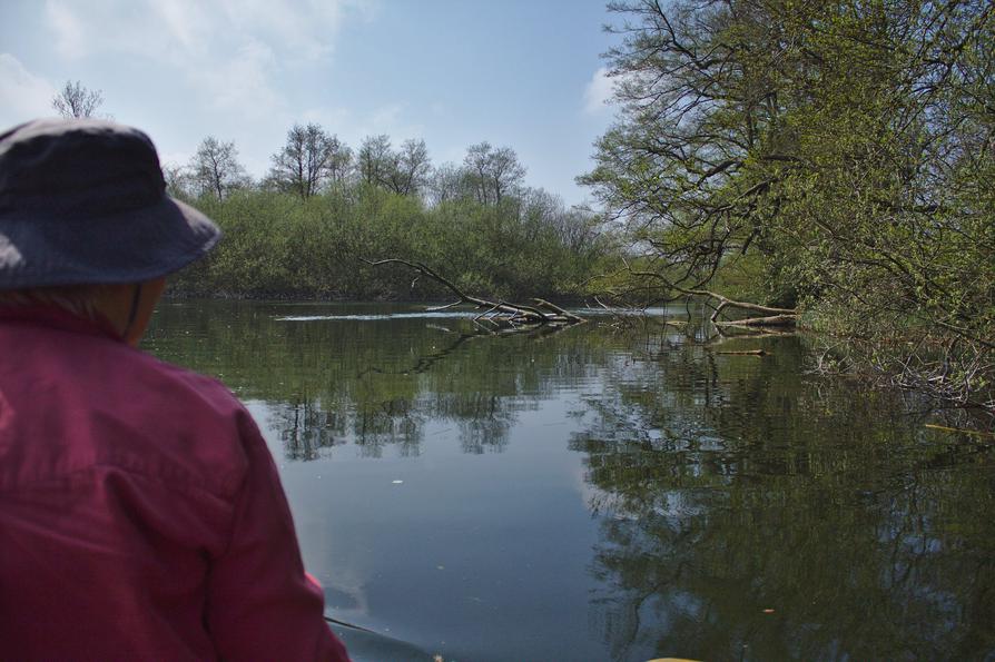 Die Schwentine zwischen Fuhlensee und Kronsee