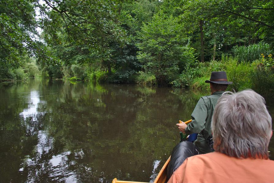 Ilmenau mit viel Natur