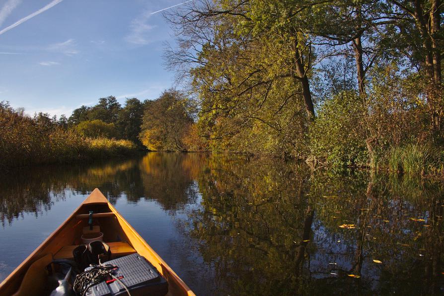 herbstliche Ufer an der Schwentine