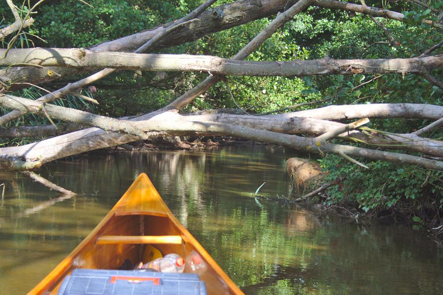 viele Hindernisse vor dem Schwarzen See