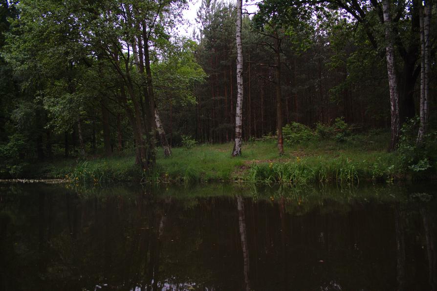 Drahendorfer Spree vor Drahendorf