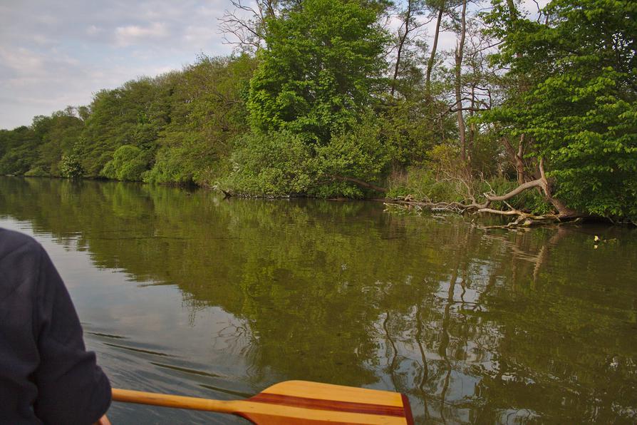 auf dem Behler See bei Timmdorf