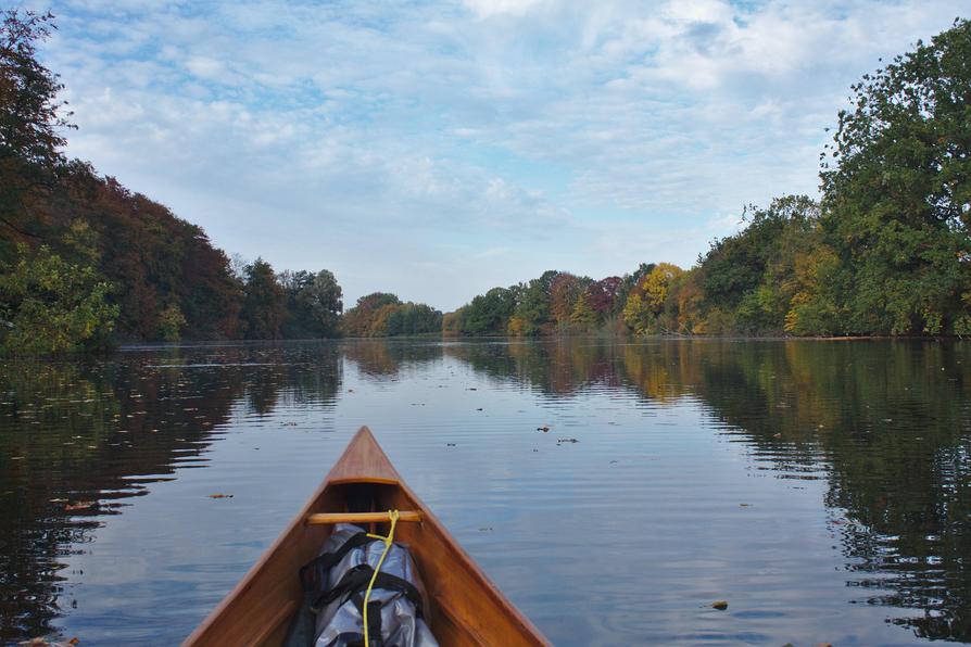 zurück auf dem Rosensee