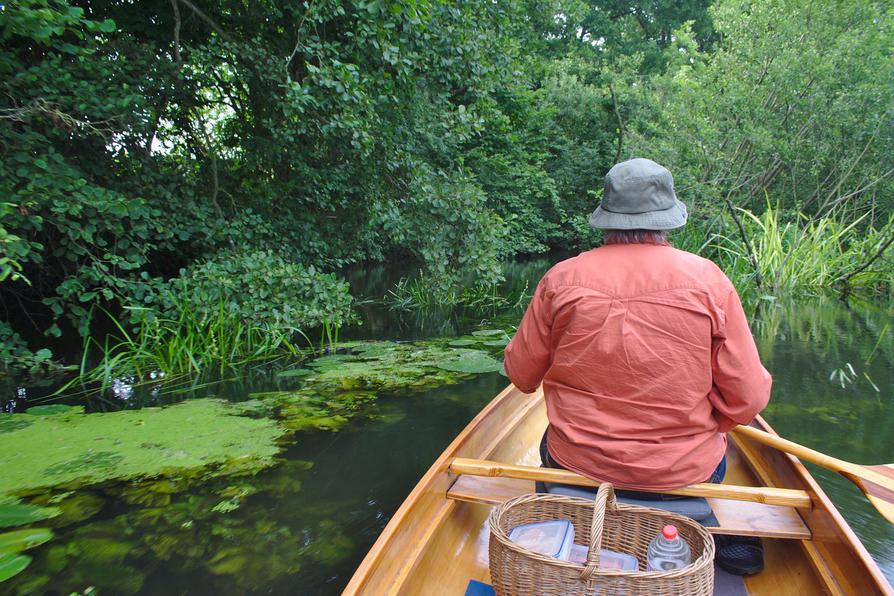 viele Wasserpflanzen stehen am Ufer