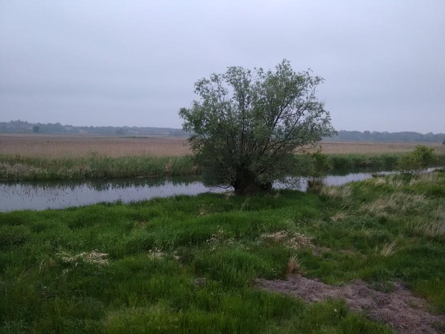 Niederoderbruch Niederoderbruch